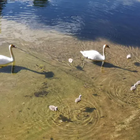 Appartement Am Diemelsee, Sauerland Naehe Willingen Winterberg