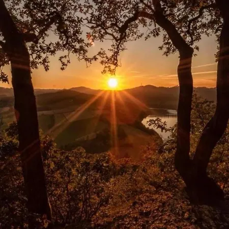 Appartement Am Diemelsee, Sauerland Naehe Willingen Winterberg Diemelsee