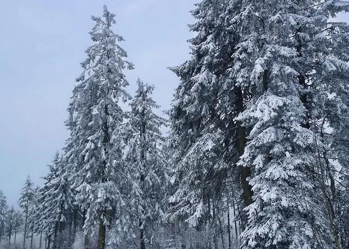 Am Diemelsee, Sauerland Naehe Willingen Winterberg * Diemelsee