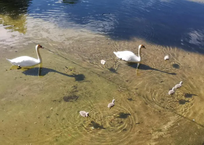 Apartman Am Diemelsee, Sauerland Naehe Willingen Winterberg
