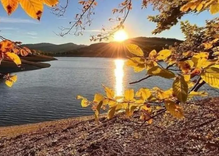 Apartman Am Diemelsee, Sauerland Naehe Willingen Winterberg Diemelsee