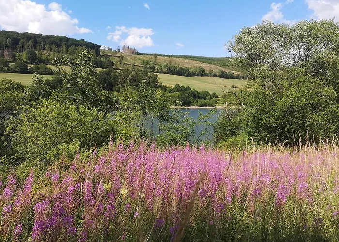 Апартаменты Am Diemelsee, Sauerland Naehe Willingen Winterberg Diemelsee