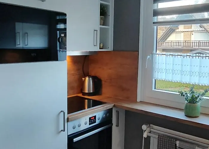 Am Diemelsee, Sauerland Naehe Willingen Winterberg Apartman *